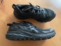 Asics,Turnschuh,Goretex, Gr.41,5, wie neu Rheinland-Pfalz - Bechhofen Vorschau