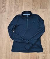 Lauf Pulli Brandenburg - Potsdam Vorschau
