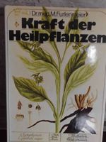 Buch Kraft der Heilpflanzen Niedersachsen - Ochtersum Vorschau