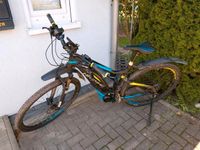 Yamaha Haibike Sduro 29 zoll Reifen Baden-Württemberg - Friedenweiler Vorschau