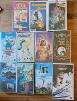 VHS diverse Filme Niedersachsen - Neukamperfehn Vorschau