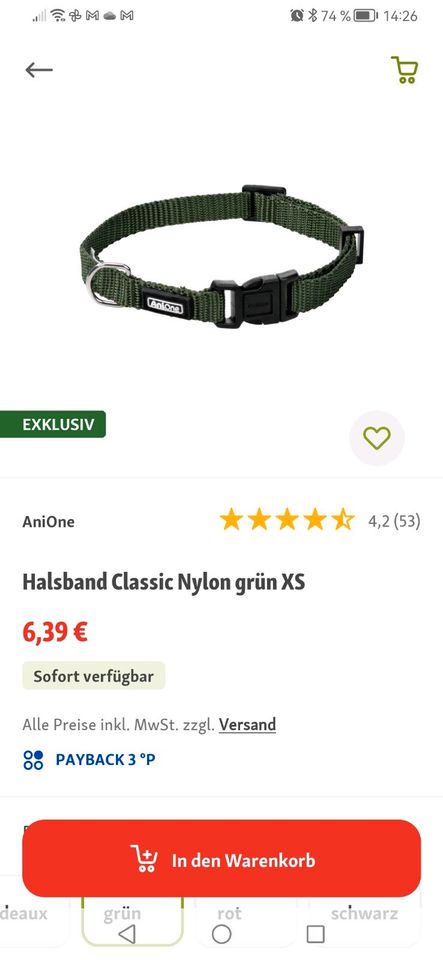 Welpen Starter Set Leine Halsband H-Geschirr in Göttingen