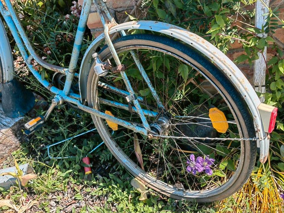 Altes Damen Rad zum fahren oder dekorieren in Neubrandenburg