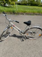 Fahrrad zu verkaufen Hessen - Borken Vorschau