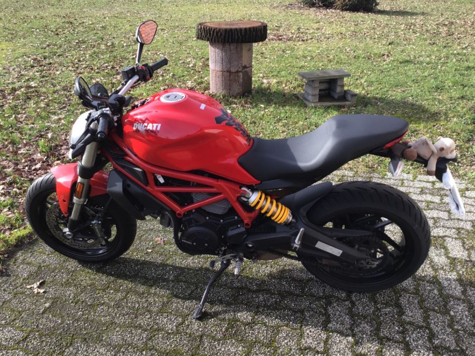Ducati Monster 797 in Wadersloh