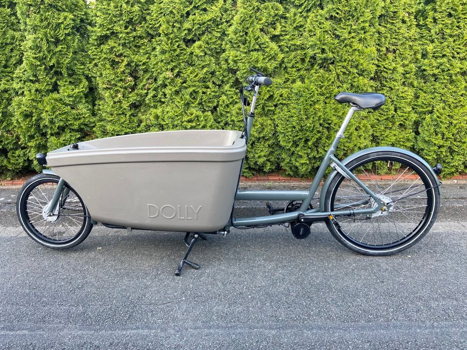 Dolly Bakfiets elektrisch Lastenrad Cargo Bike in Geist