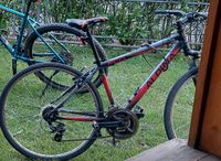 Fahrrad gesucht, *gestohlen am 17.02/Handeloh Alpina Eco  C20 Niedersachsen - Welle Vorschau