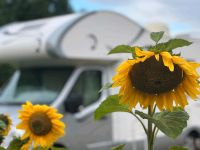 Wohnmobil Mieten bis zu 6 Personen. Sachsen-Anhalt - Halberstadt Vorschau