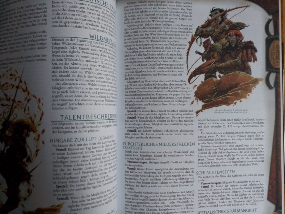 Dungeons Dragons 3.5 - Das Buch der Gottgeweihten - deutsch in Hamburg