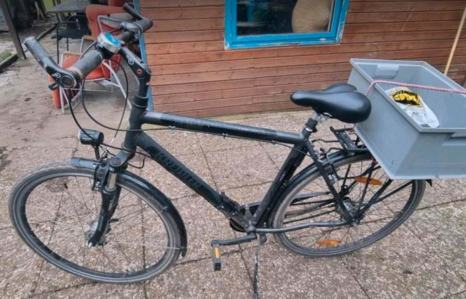 Kreidler Herren Fahrrad 28zoll RH 55cm mit Rücktrittbremse in Kiel