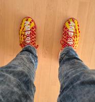 Adidas Pharell Williams mit Box Hessen - Herborn Vorschau