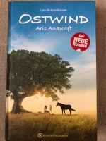 Ostwind ARIS Ankunft Bayern - Schwarzach am Main Vorschau