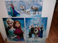 3 FROZEN Bilder-Rahmen weiß 70x50 Keilrahmen 70x33, Zusammen 15€ Sachsen-Anhalt - Schönhausen (Elbe) Vorschau