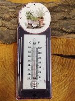 Im Shabby look, Thermometer aus Eisen. Neuware Niedersachsen - Rhauderfehn Vorschau