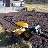 Vertikutierer/Gartenfräse/Gartenwalze/Minibagger/Rasenmähen Bayern - Palling Vorschau