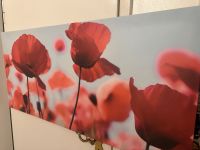 Ikea Wandbild Mohnblumen Köln - Nippes Vorschau