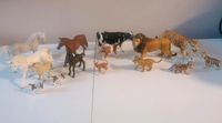 XXL16 Tlg Schleich Set+Kindertoyz Set Pferde Löwen Tiger Kühe usw Kiel - Elmschenhagen-Kroog Vorschau