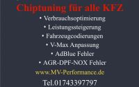 Fehler NOX AGR Sensor Adblue P2202 P22xxP1069 18B800 P0401 Mecklenburg-Vorpommern - Malchin Vorschau