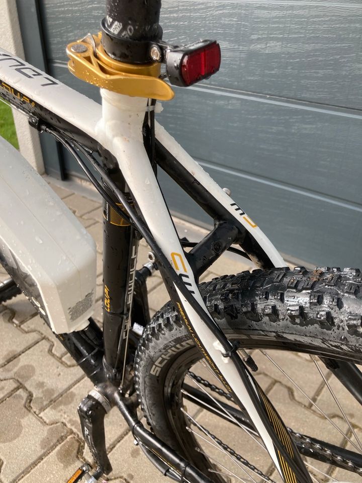 E-Bike MTB 29“ 45kmh in Nennslingen