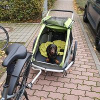 Fahrradanhänger Croozer Kid for 2 für Hunde Leipzig - Liebertwolkwitz Vorschau