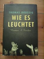 Thomas Brussig: Wie es leuchtet, Roman Berlin - Steglitz Vorschau