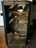 Terrarium / Hochterrarium 80x140x45 Nordrhein-Westfalen - Warendorf Vorschau