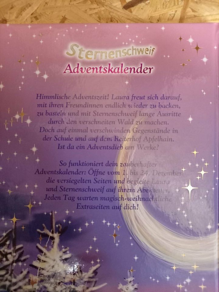 Sternenschweif Buchsammlung in Süderhastedt