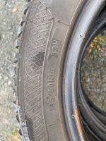 Kleber 195/50 R15 82H Winterreifen Hessen - Neu-Anspach Vorschau