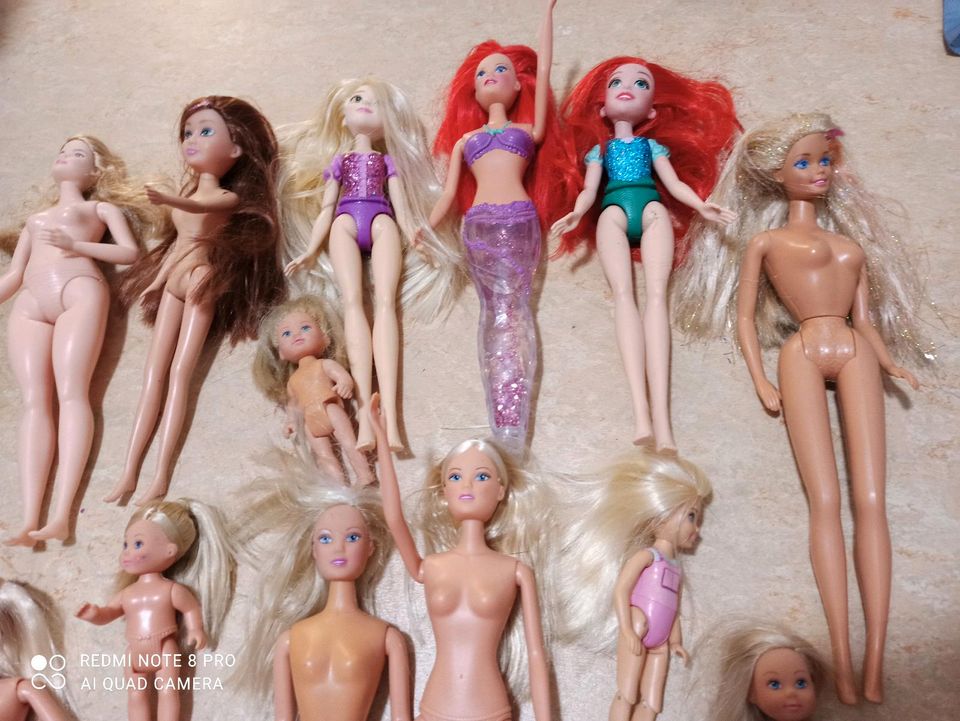 Barbie Puppenhaus mit zubehör zu verkaufen in Bruchsal