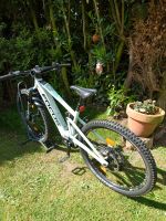 FOCUS JAM 2 6.9, sky grey, 29 Zoll M, Diamond 625 Wh, e-Bike, MTB Niedersachsen - Wildeshausen Vorschau