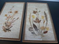 Vintage 2 Bilder mit getrockneten Blumen,Gräser Trockenblumen SET Nordrhein-Westfalen - Brühl Vorschau