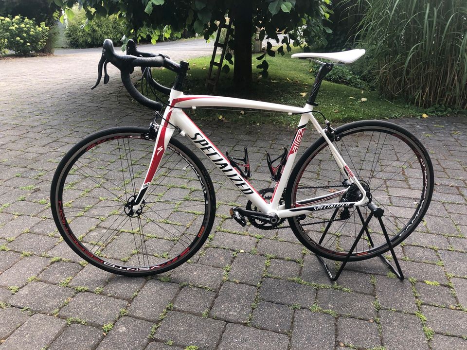 Rennrad Specialized in Neunkirchen Siegerland