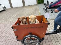 Babboe Dog-E Lastenrad Bakfiets mit 450 Wh Akku, nur 158 km Niedersachsen - Hagen im Bremischen Vorschau