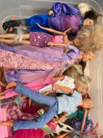 Barbie Sammlung zu verkaufen Nordrhein-Westfalen - Merzenich Vorschau
