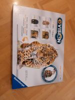 4S Vision  Wild Cats von Ravensburger 3D Puzzle Bayern - Uffenheim Vorschau