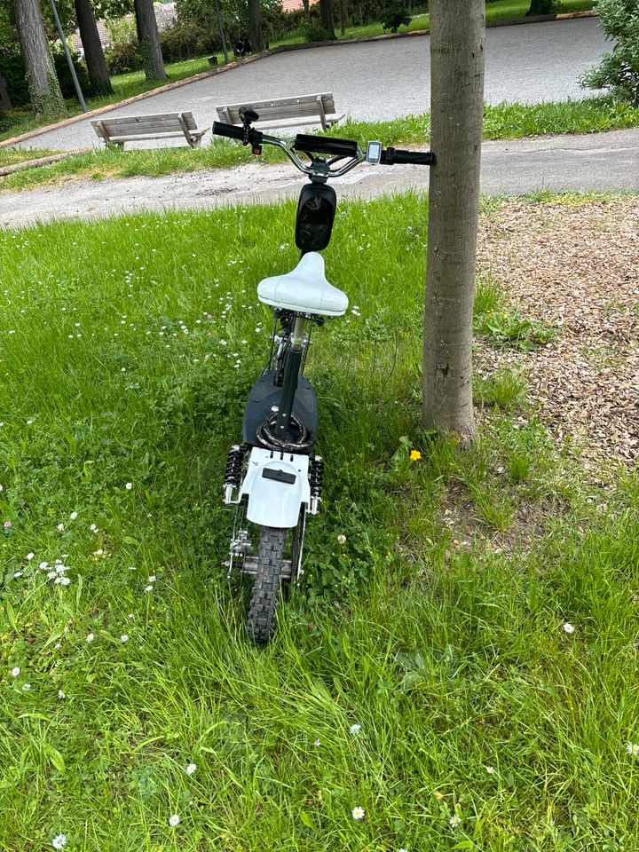 E-scooter 1000W in Niefern-Öschelbronn