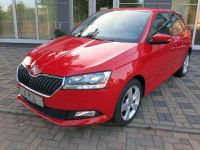 Skoda Fabia Cool Plus 1.HAND SCHECKHEFTGEPFLEGT KLIMA Thüringen - Lucka Vorschau