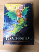 Buch Drachenthal von W. Hohlbein Baden-Württemberg - Weinheim Vorschau