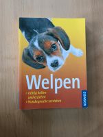 Welpen Buch Hessen - Pohlheim Vorschau