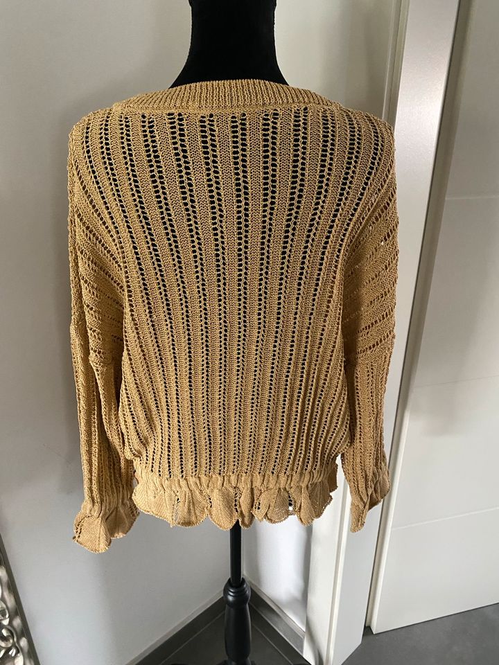 Zara Pullover beige goldfarben Rüschen L in Saarbrücken