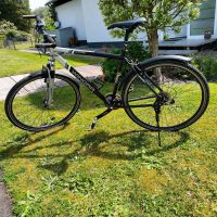 Herren Trekking Fahrrad 28 Zoll (Winora) Saarland - Nohfelden Vorschau