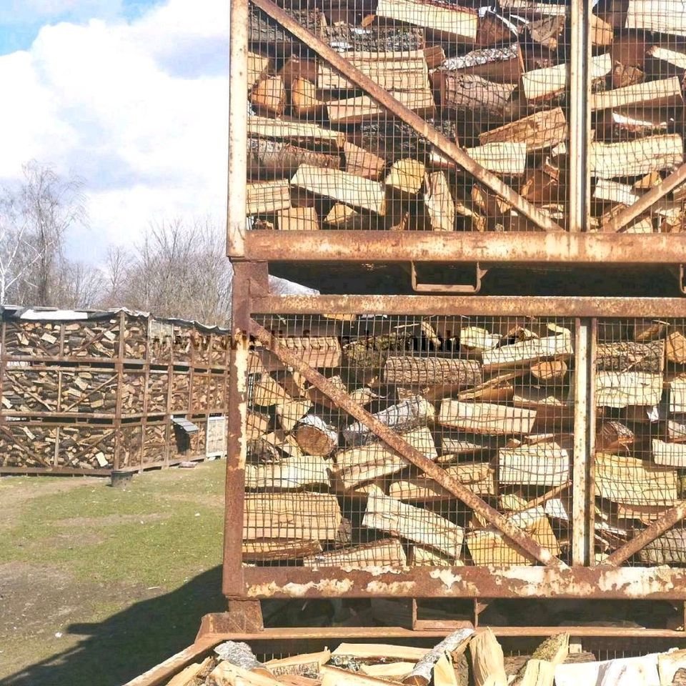 TOPANGEBOT 10 SRM Buche Eiche Esche Brennholz inklusive Lieferung Kaminholz Ofenholz Feuerholz in Essen