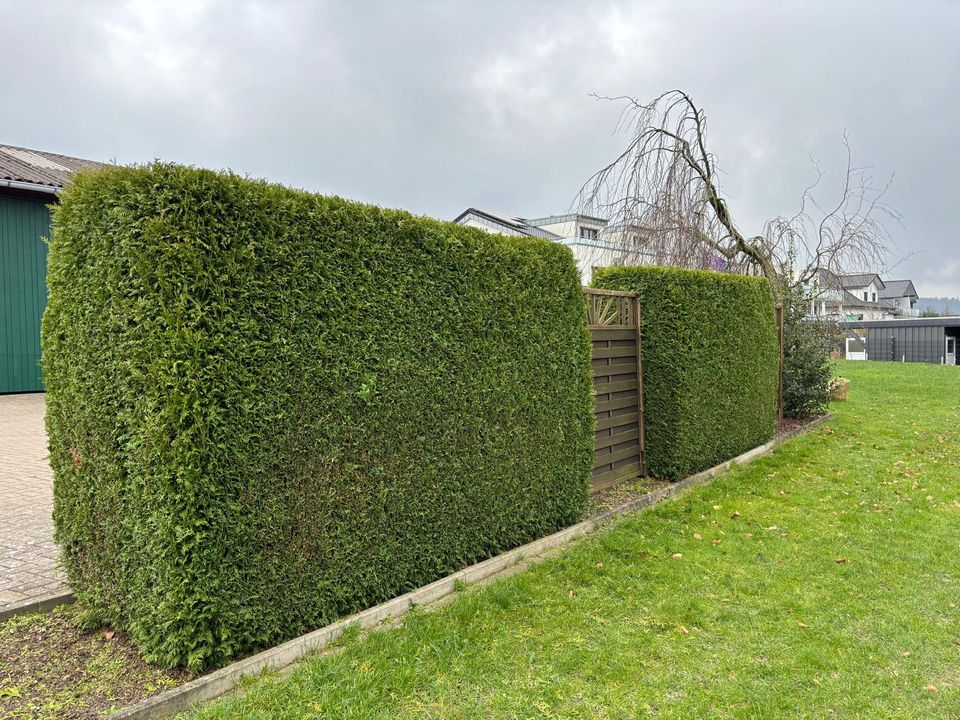 Gartenpflege/ Gartenhilfe in Osnabrück