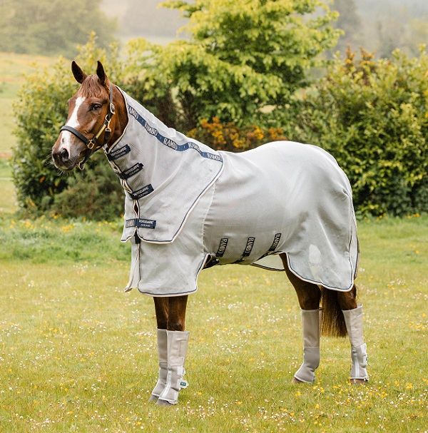 Fliegendecke, Ekzemerdecke Horseware Rambo Protector, Amigo Mio Fly, Rambo Hoody, Busse Sunshine II, Busse Strong 90,95,100,110,115,125,130,140,145,155,160,165 auch Big Size Neuware in Kempen