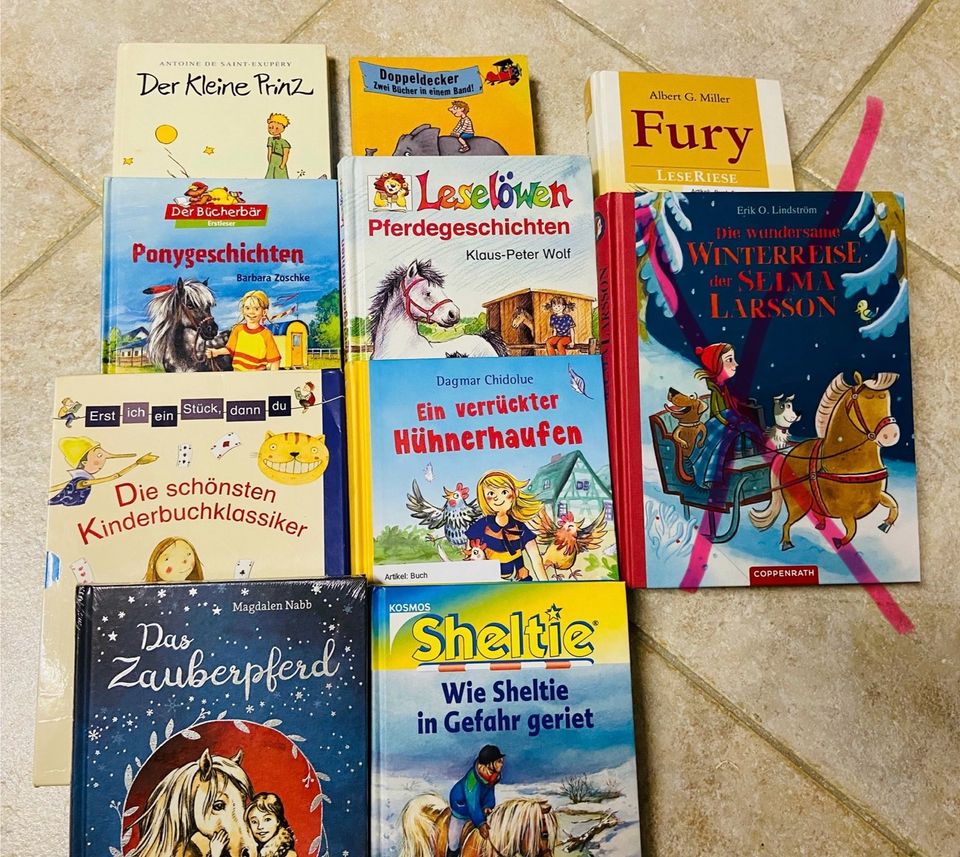 ❤️ Versch. Kinderbücher teilw. Neu Bücher Pferde etc. in Ascheberg