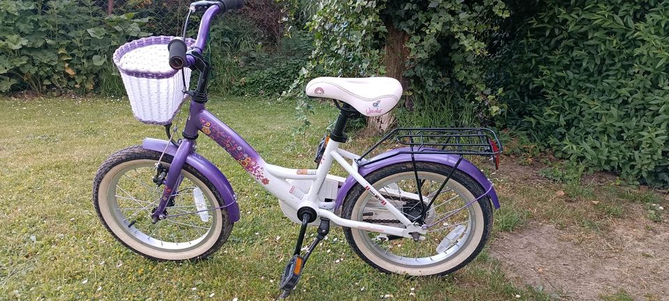 Mädchenfahrrad 16 Zoll in Zarrentin