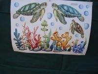 Wandtattoo Fensterbild Unterwasserwelt Pflanzen und Schildkröten Hessen - Friedrichsdorf Vorschau