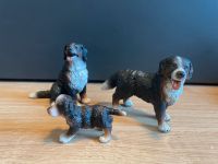 Schleich Bernersennenhund Familie Nordrhein-Westfalen - Bönen Vorschau