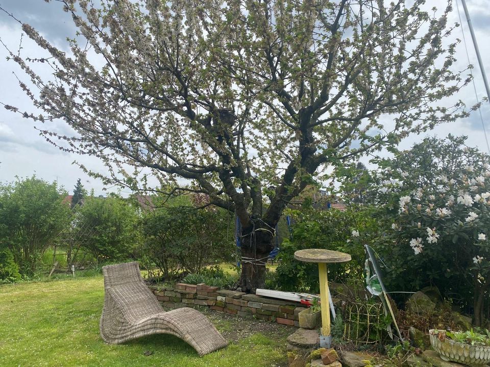 Garten in Oberricklingen Schrebergarten Kleingarten in Hannover