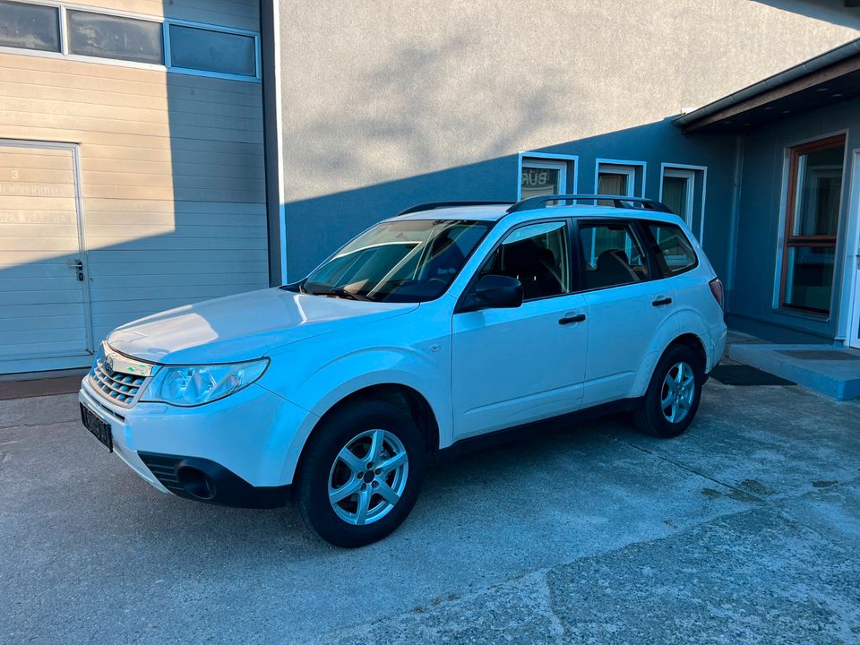 Subaru Forester in Rathenow